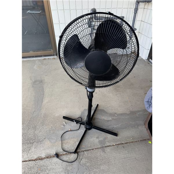 Fan