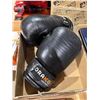 Image 1 : Boxing gloves