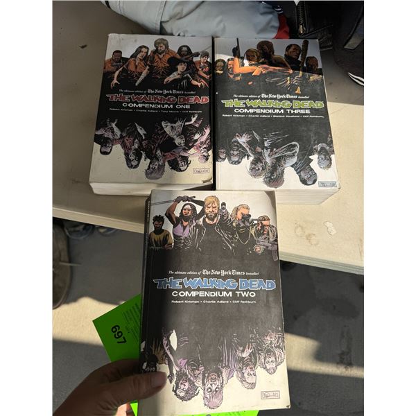 The Walking Dead books