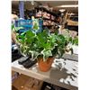 Image 1 : Artificial plant
