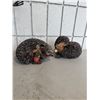 Image 1 : Bramble and clover