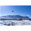 Image 2 : Alaskan Helicopter, Glacier & Brewery Escape for Two