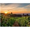Image 4 : Willamette Valley: The Perfect Setting