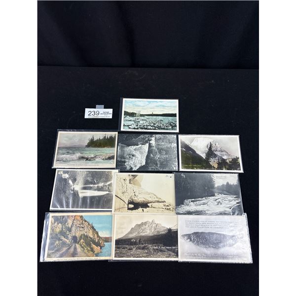 Lot of 10 Early Canadian Postcards Mostly BC