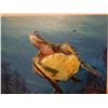 Image 2 : Original Painting on Canvas, Honu Turtle by Jin Guo Song, Unframed 16" x 18"