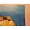 Image 4 : Original Painting on Canvas, Honu Turtle by Jin Guo Song, Unframed 16" x 18"