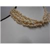 Image 2 : Five-Strand South Seas Choker Shell Lei Necklace w/ 2-Cowrie Shell Closure 16"L