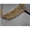 Image 3 : Five-Strand South Seas Choker Shell Lei Necklace w/ 2-Cowrie Shell Closure 16"L