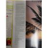 Image 8 : First Edition Under the Hula Moon, Living in Hawaii Illustrated Book by Jocelyn Fujii w/ Dust Jacket