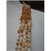Image 2 : Niihau 5-Strand Kipona Lei w/ Cowrie Fastener, KAHAKAHA Shells & COA 40"L