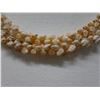 Image 2 : Niihau 2-Strand Kipona Lei w/ Cowrie Fasteners, KAHAKAHA Shells & COA 24"L (clasp needs repair)
