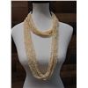 Image 10 : Niihau 10-Strand Pololei Lei Hula Length w/ Cowrie Clip, Laiki Shells & COA 54"L