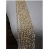Image 2 : Niihau 10-Strand Pololei Lei Hula Length w/ Cowrie Clip, Laiki Shells & COA 54"L