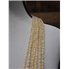 Image 3 : Niihau 10-Strand Pololei Lei Hula Length w/ Cowrie Clip, Laiki Shells & COA 54"L