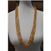 Image 1 : Niihau 4-Strand Mauna Lua Style Lei w/ Kamoa Lenelena Ikaika Shells & COA 29"L