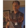 Image 1 : The Resident Bruce Greenwood signed photo