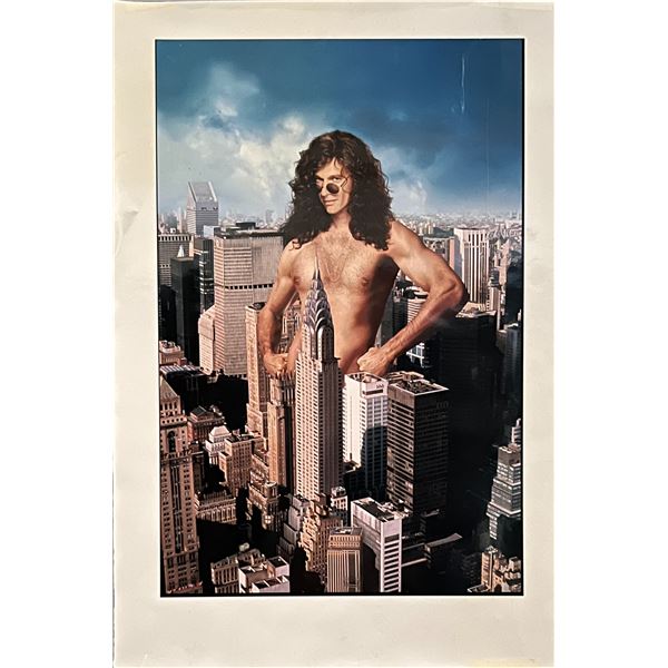 Private Parts original movie poster artwork