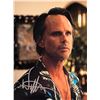 Image 1 : The White Lotus Walton Goggins signed photo