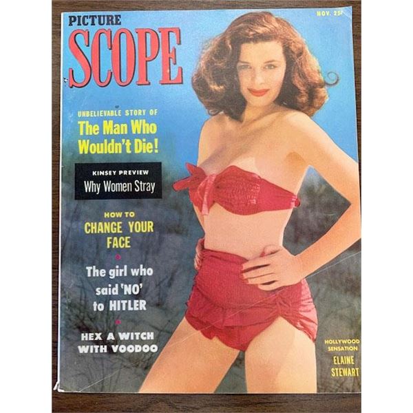 Picture Scope Magazine - Elaine Stewart