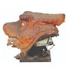 Image 10 : A “Crash the Curiousaurus” Puppet Head.