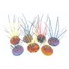 Image 1 : A Collection of "Amazing Live Sea Monkeys" Anemone Props.