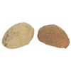 Image 1 : A Pair of ”Critters 4” Crite Eggs.