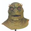 Image 1 : A "Ninja Turtles: The Next Mutation" Dragon Lord Costume Head.