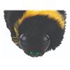 Image 8 : A Pair of “Marcel the Shell with Shoes On” Bee Puppets.
