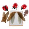 Image 1 : “Marcel the Shell with Shoes On” Ladybug Puppets and Parts.