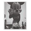 Image 3 : A Collection of a Disneyland Photographs.