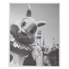 Image 4 : A Collection of a Disneyland Photographs.