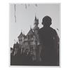 Image 7 : A Collection of a Disneyland Photographs.