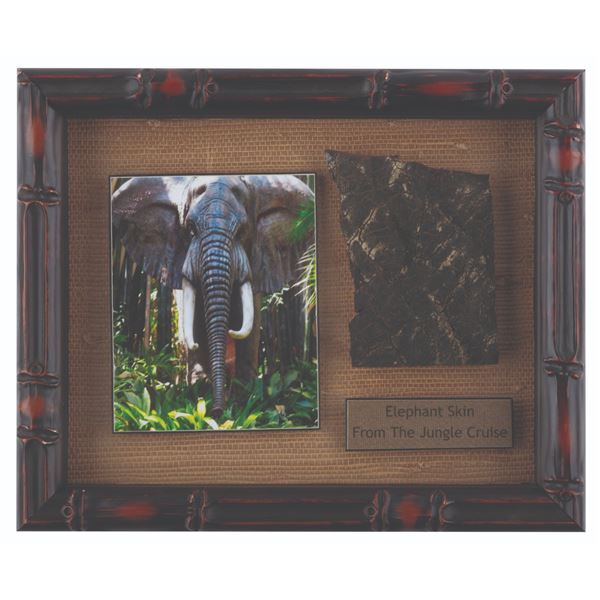 A Jungle Cruise Elephant Skin Prop.
