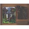 Image 2 : A Jungle Cruise Elephant Skin Prop.