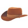 Image 8 : A Pair of Chip and Dale Cowboy Hat Costume Props.