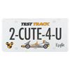 Image 6 : A Collection of EPCOT Test Track Licence Plates.
