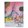 Image 1 : An Early Euro Disneyland Shareholder Poster.
