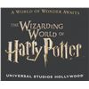 Image 4 : A Wizarding World Opening Team Shirt & Wand.
