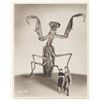 Image 2 : A Collection of "The Deadly Mantis" Promotional Photos.