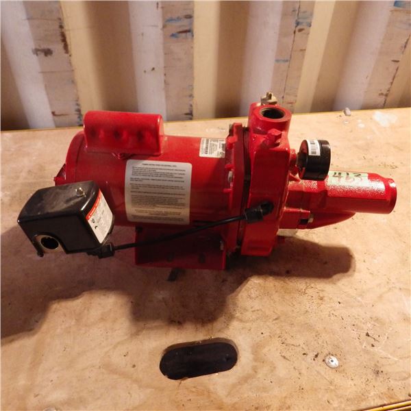 Red Lion   Half horsepower jet pump