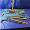 Image 1 : tree limbing tools, saw etcetera