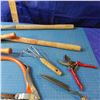 Image 4 : tree limbing tools, saw etcetera