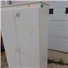 Image 3 : Two door storage cabinet