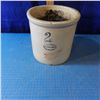 Image 1 : 2 gallon Red Wing crock used as flower planter