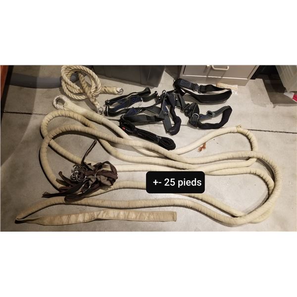 LOT DE CABLES ET HARNAIS