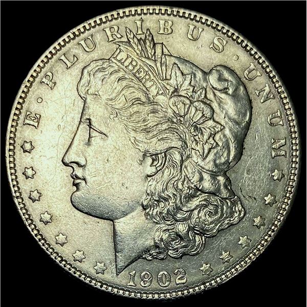 1902 Morgan Silver Dollar CHOICE AU