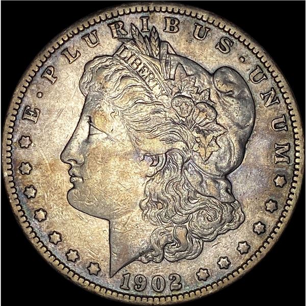 1902-S Silver Morgan Dollar NEARLY UNCIRCULATED