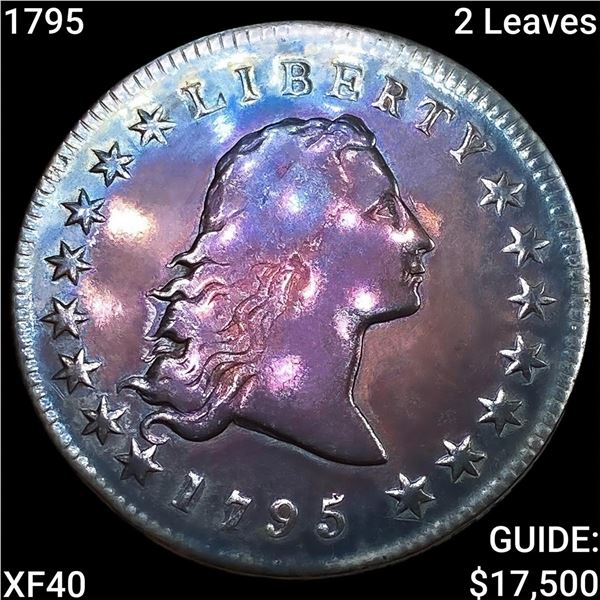 1795 2 Leaves Flowing Hair Dollar NEARLY UNCIRCULATED