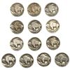 Image 2 : 1918-1931 Better Date Buffalo Nickel Lot [13 Coins]