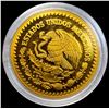 Image 2 : 2019 1/2oz Gold Mexican Libertad CHOICE PROOF